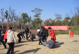 培训活动展示